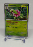 2025 Pokemon Mega Evolution PreRelease STAFF Meganium 001 Black Star Promo - EJ Cards