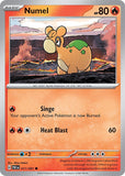 #011/091 - Numel - Reverse Holo - Paldean Fates