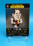 2008 AFL Teamcoach Star Wildcard Nathan Foley - EJ Cards